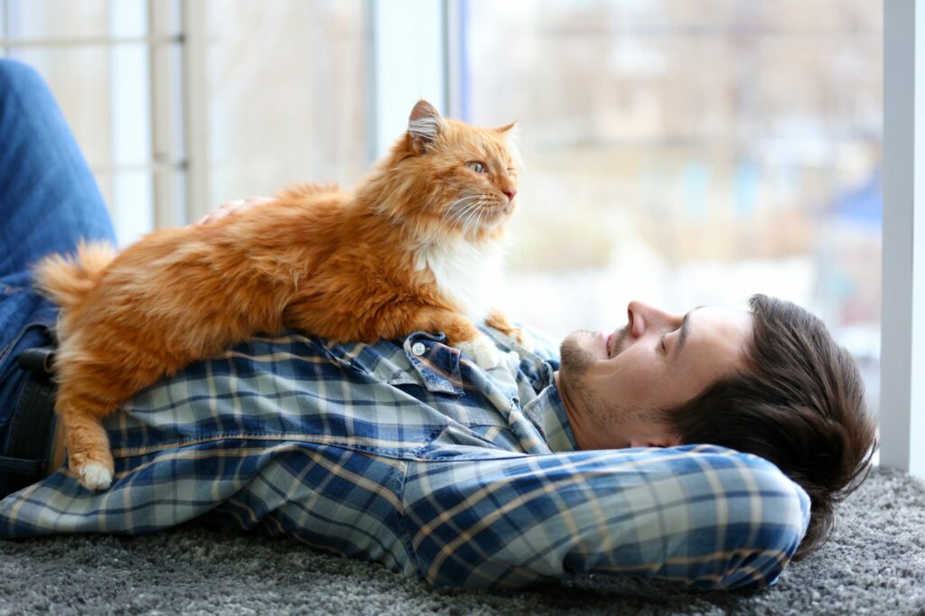 SantéVet Katzenversicherung