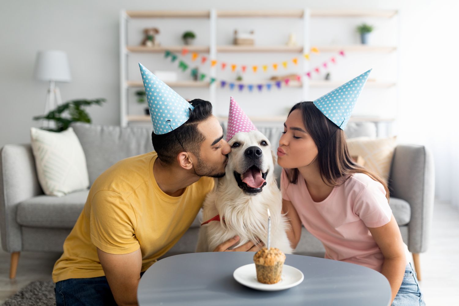Millennials-Studie enthüllt: Hund statt Kind