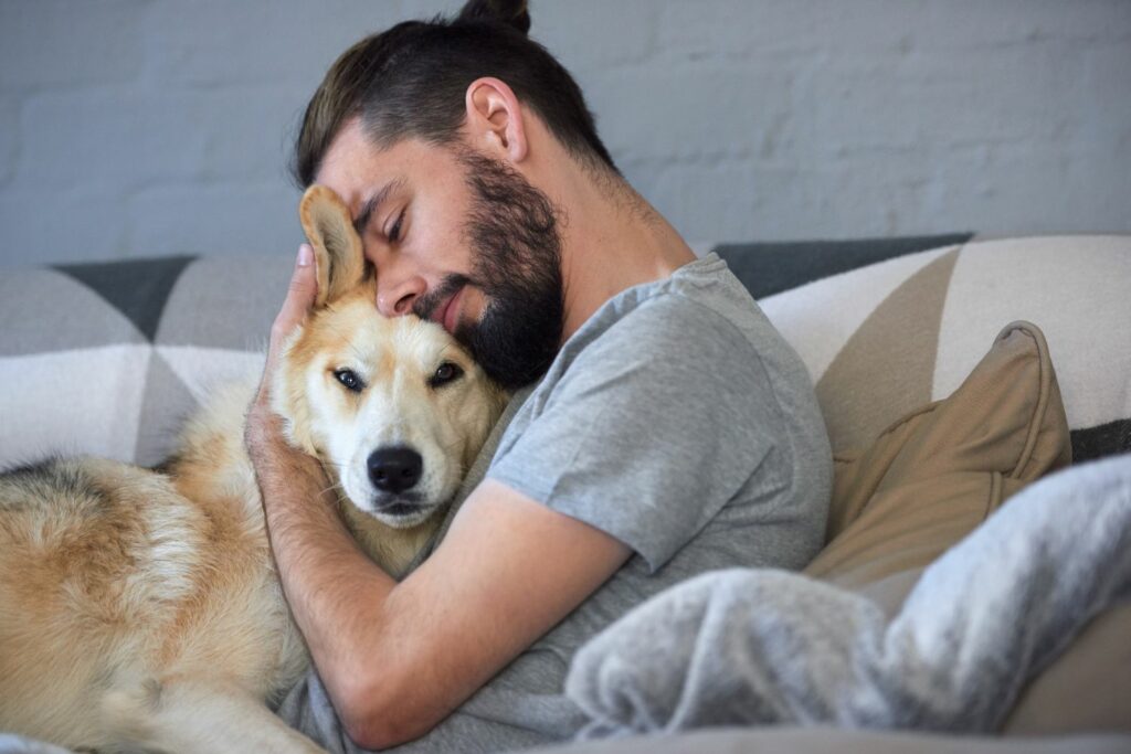 Haustiere-Wellness Hund