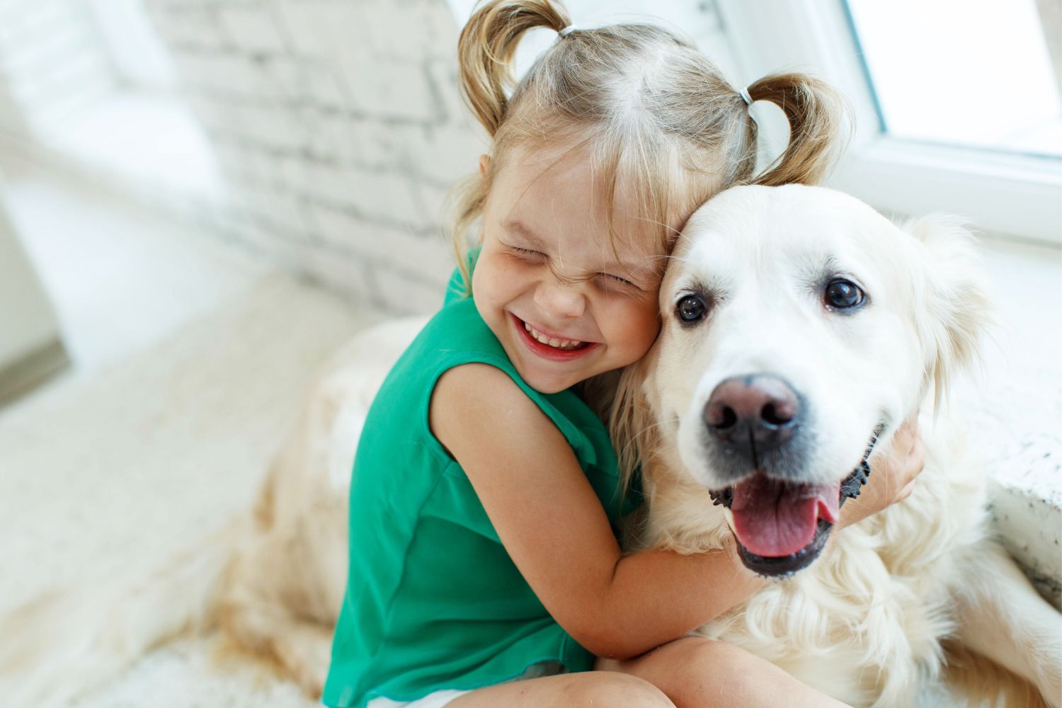 Katzen und Hunde: Mögliche Helfer im Kampf gegen Kinderallergien