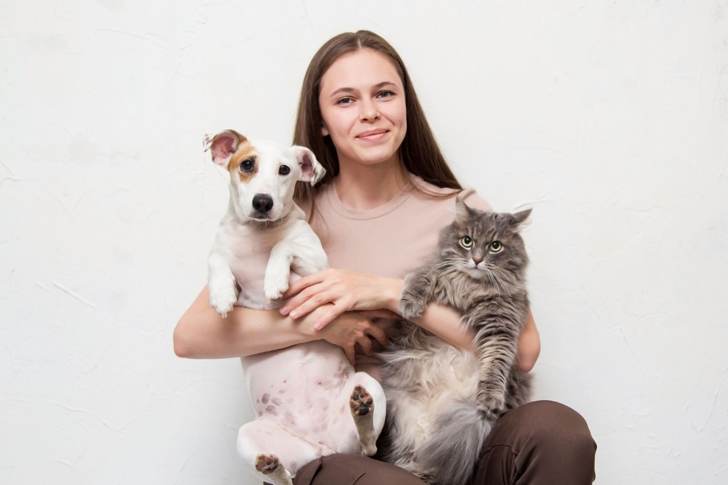 Hund oder Katze? Ihre Wahl offenbart Ihre Persönlichkeit
