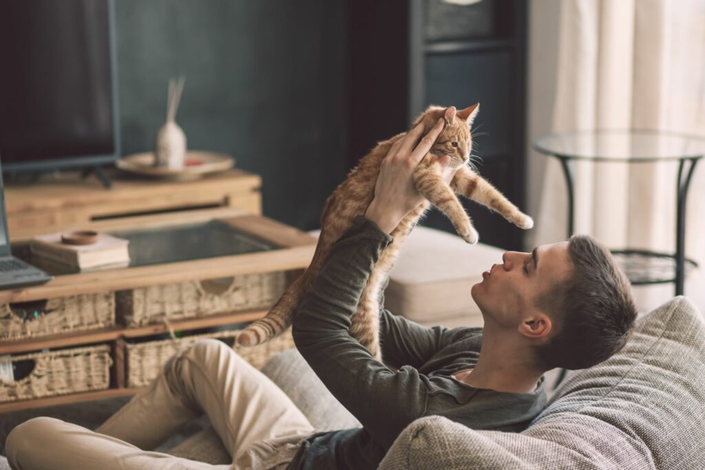 Persönlichkeit Katzenmensch