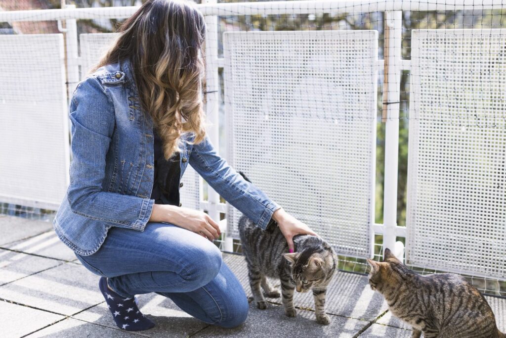 Katze in Mietwohnung: Balkonnetz