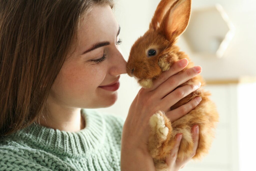 fragen für tierbesitzer kaninchen