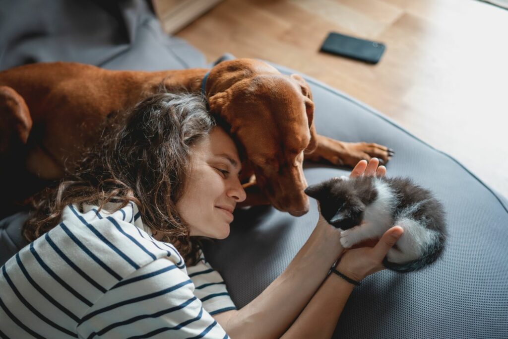 Heimtierstudie: Katze und Hund