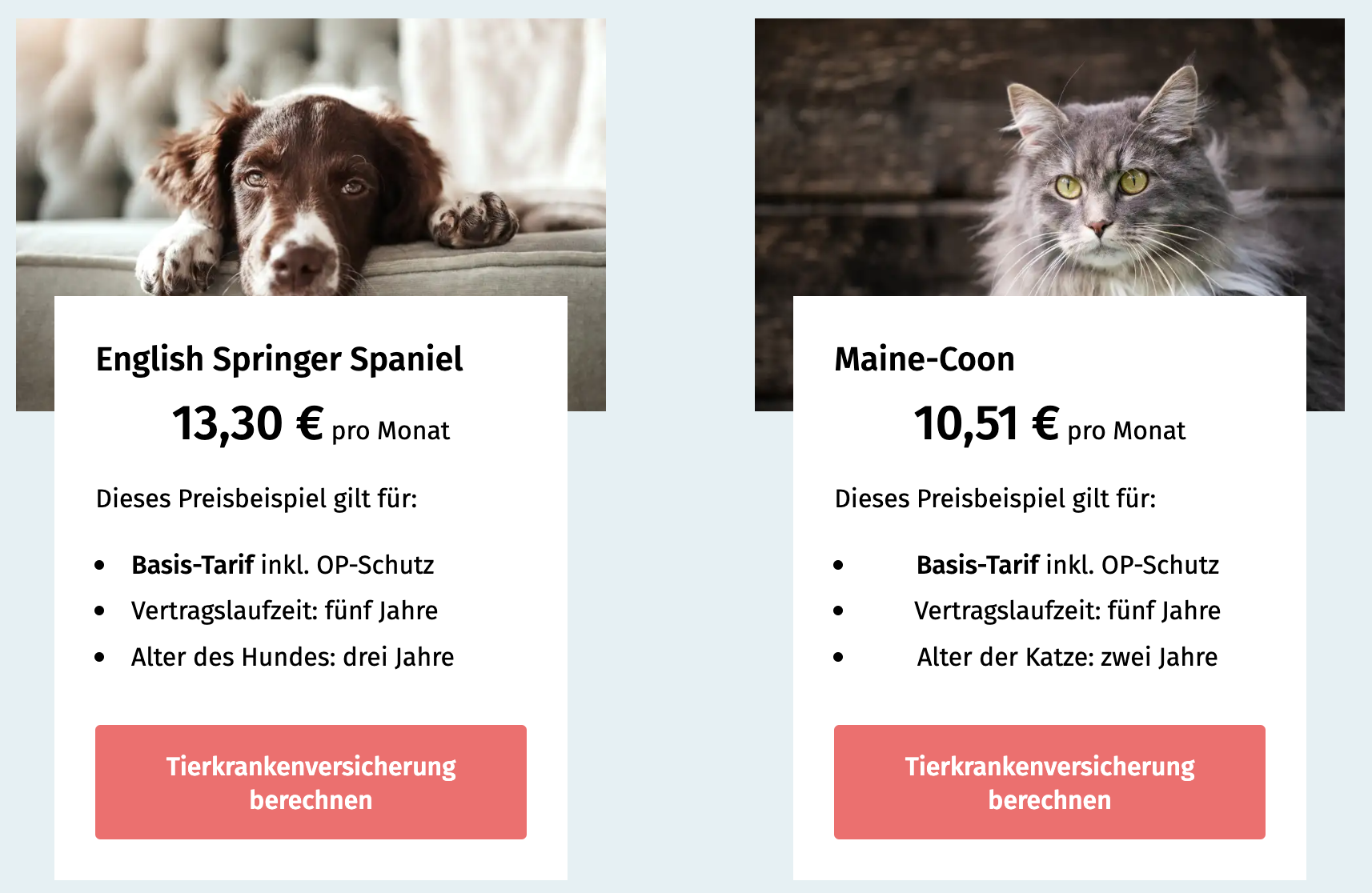 Ausstattung Nach Rassen | Ruhige Familienhunde: Die besten Rassen für ...