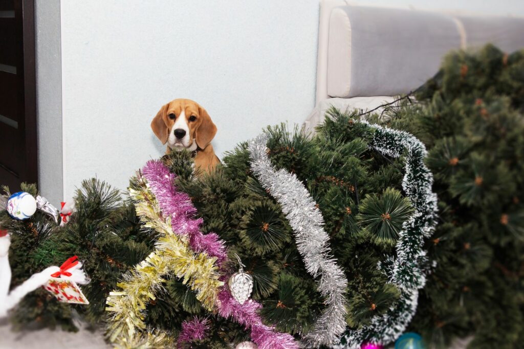 Gefahr im Haushalt: Weihnachtsschmuck