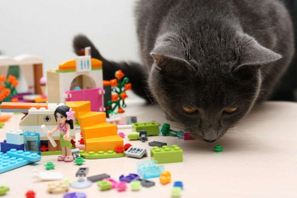 Gefahr im Haushalt: Legosteine