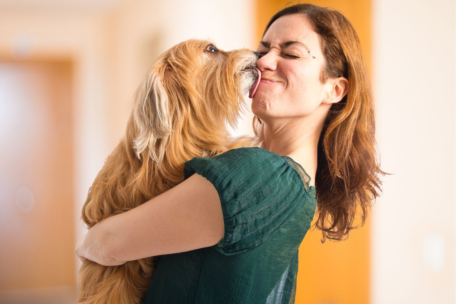 Hundekrankenversicherung: Wissenswertes Für Hundehalter