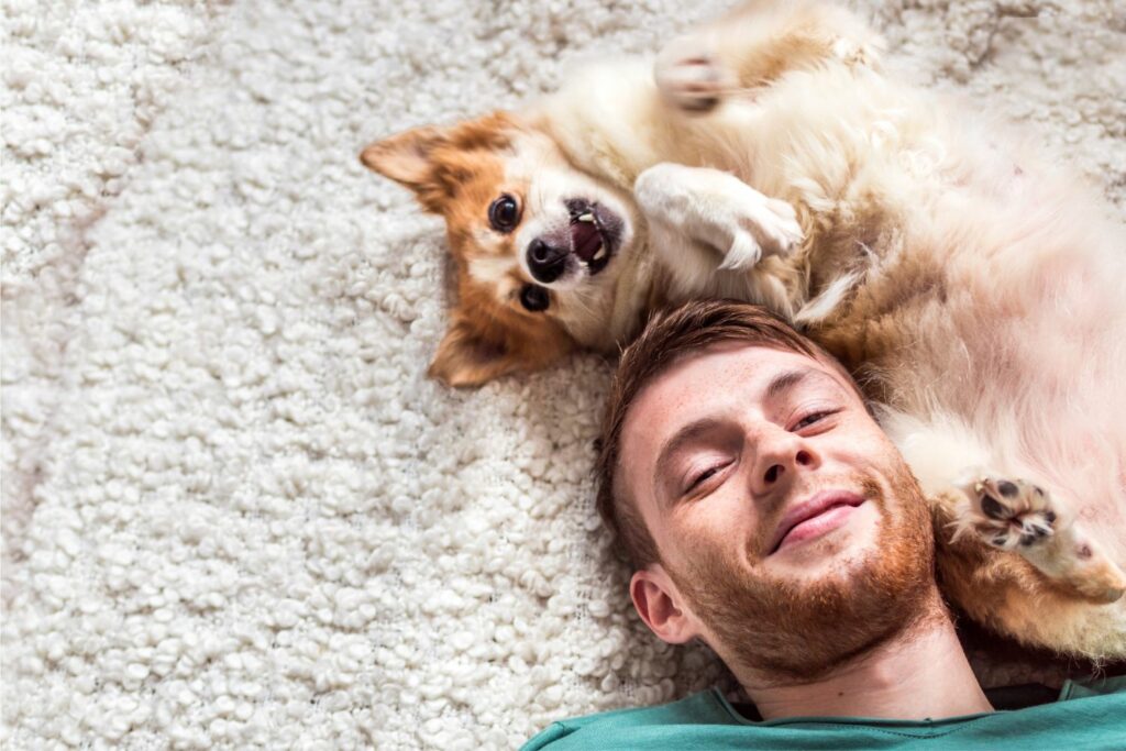 Hundekrankenversicherung: Hundehalter