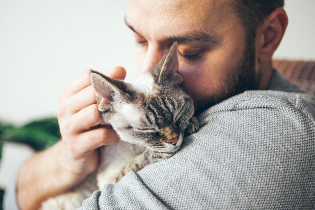 Katzenkrankenversicherung: Tierhalter