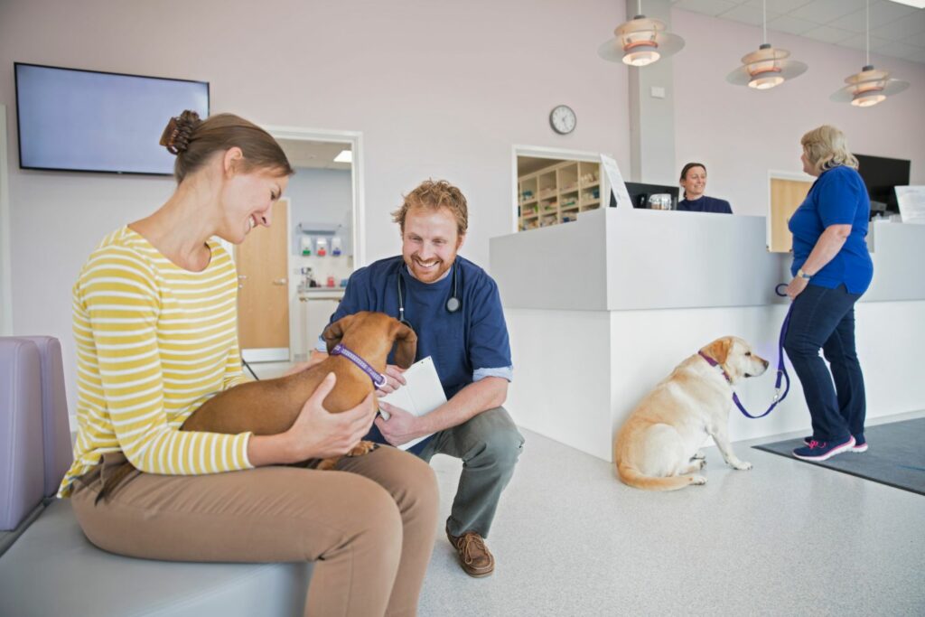 guter Tierarzt: Tierklinik