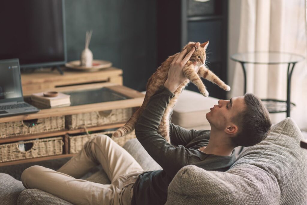 Wohnungskatze oder Freigänger: Kuschelzeit