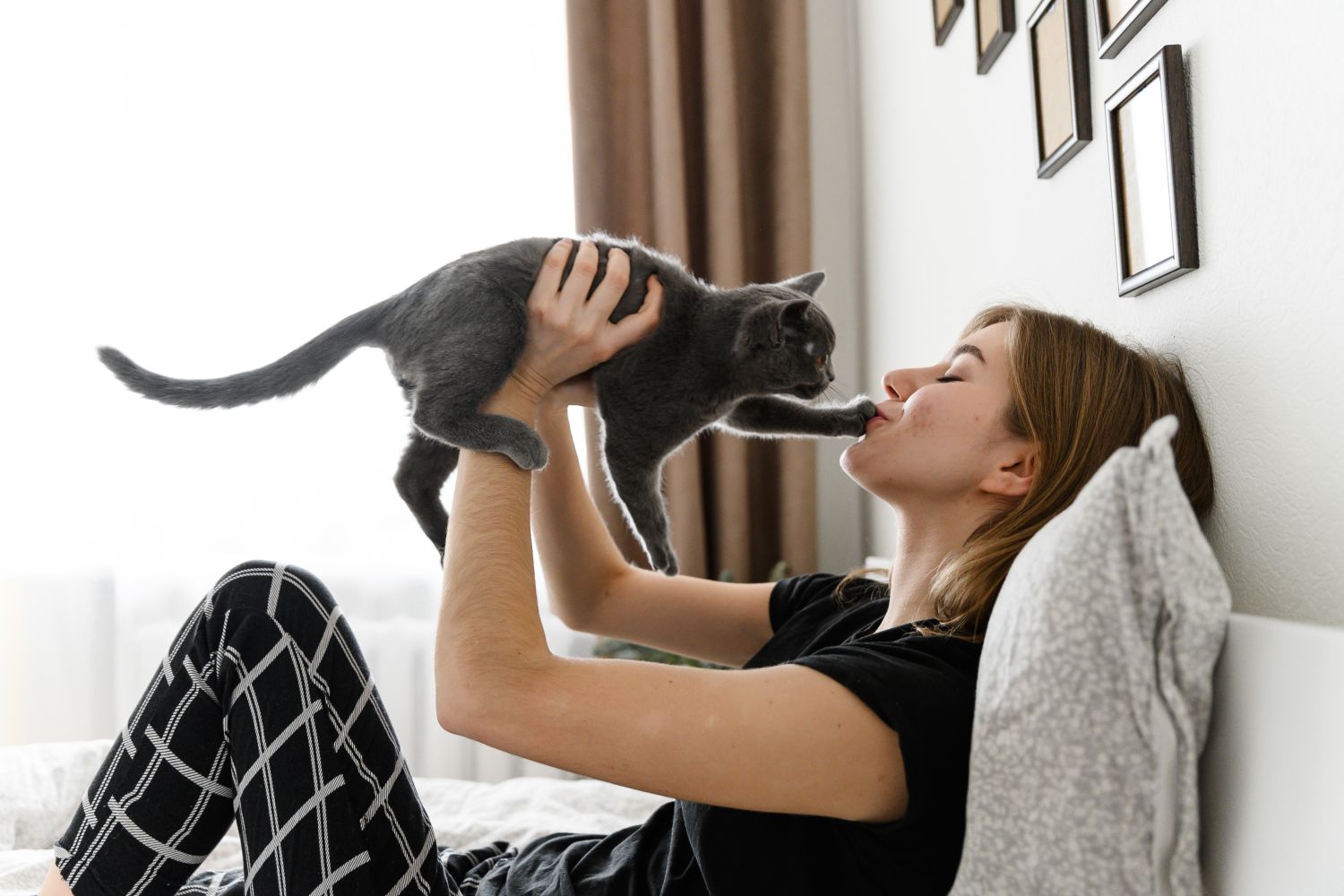 Katzen Körpersprache: Woran Sie erkennen können, ob Ihre Katze glücklich oder gestresst ist