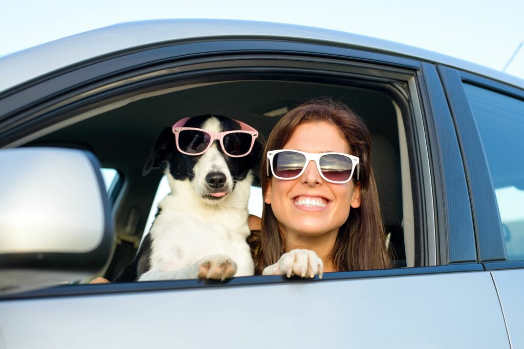 Barkibu Tierversicherung im Test 2024