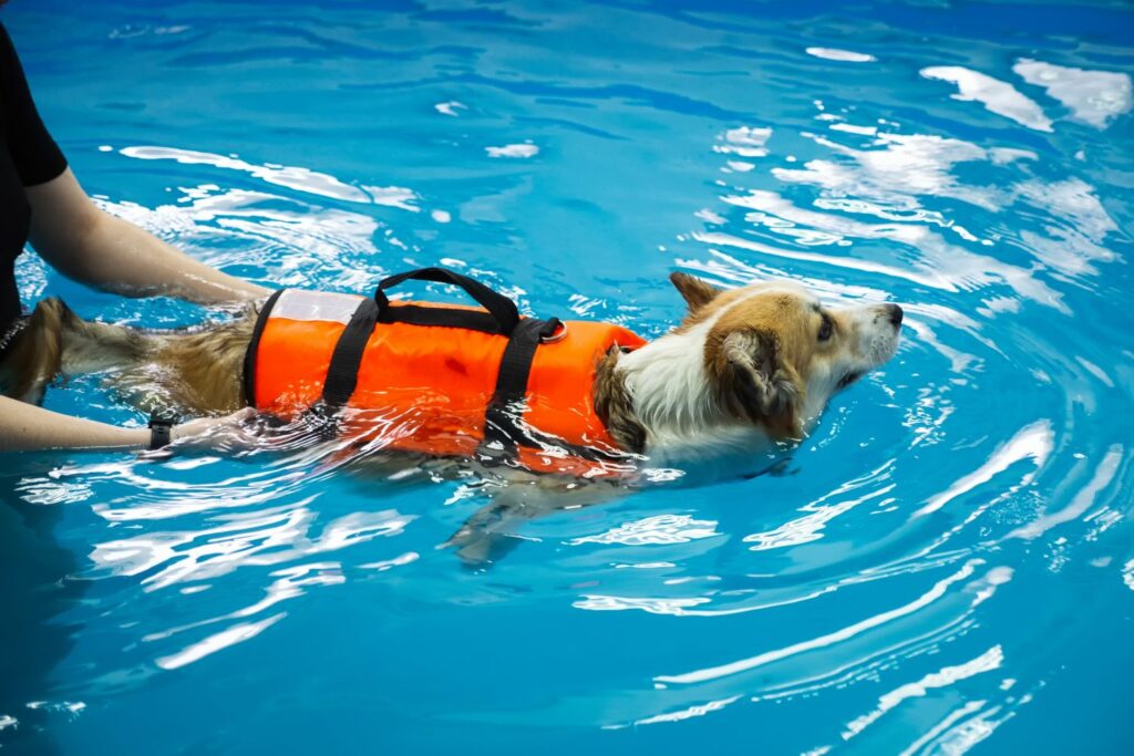 Wassersicherheit: Schwimmweste