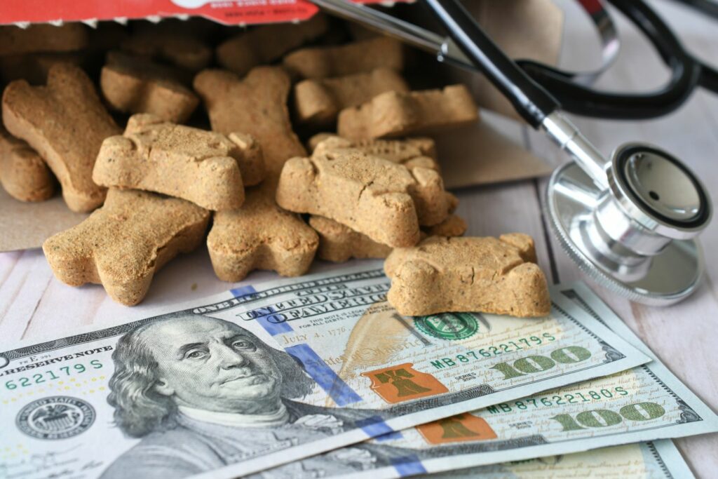 Haustier Kosten: Leckerlis auf Geldscheinen