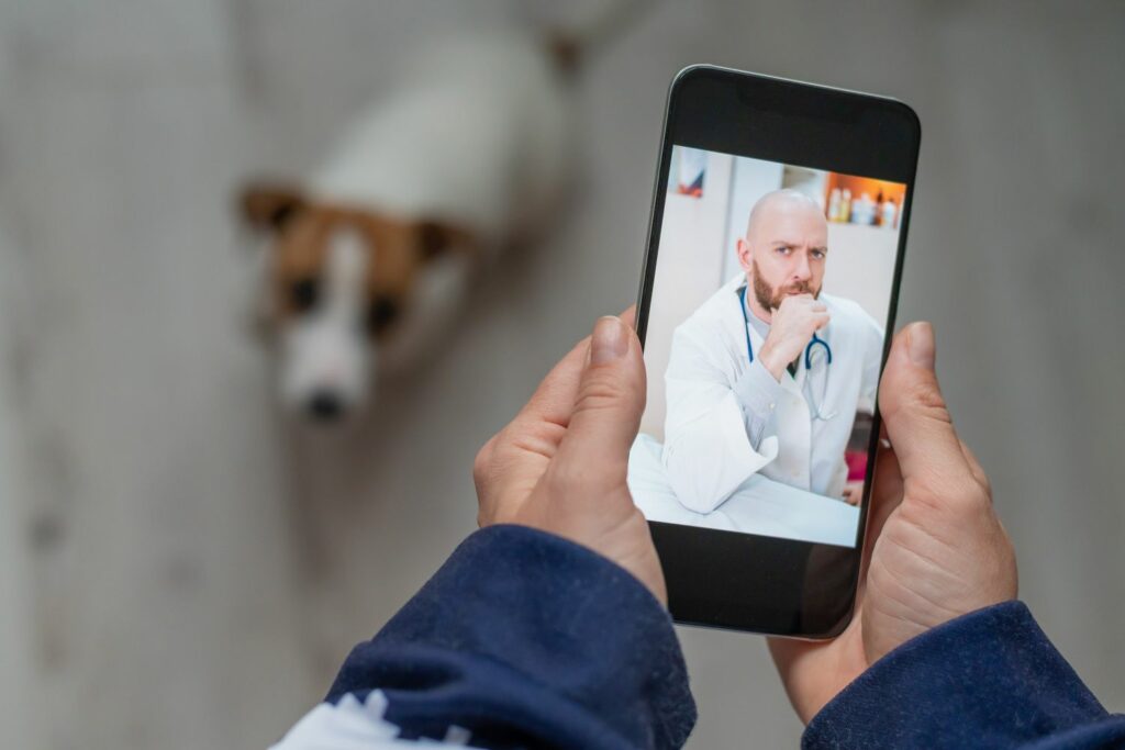 Online-Tierarzt Sprechstunde mit Hund
