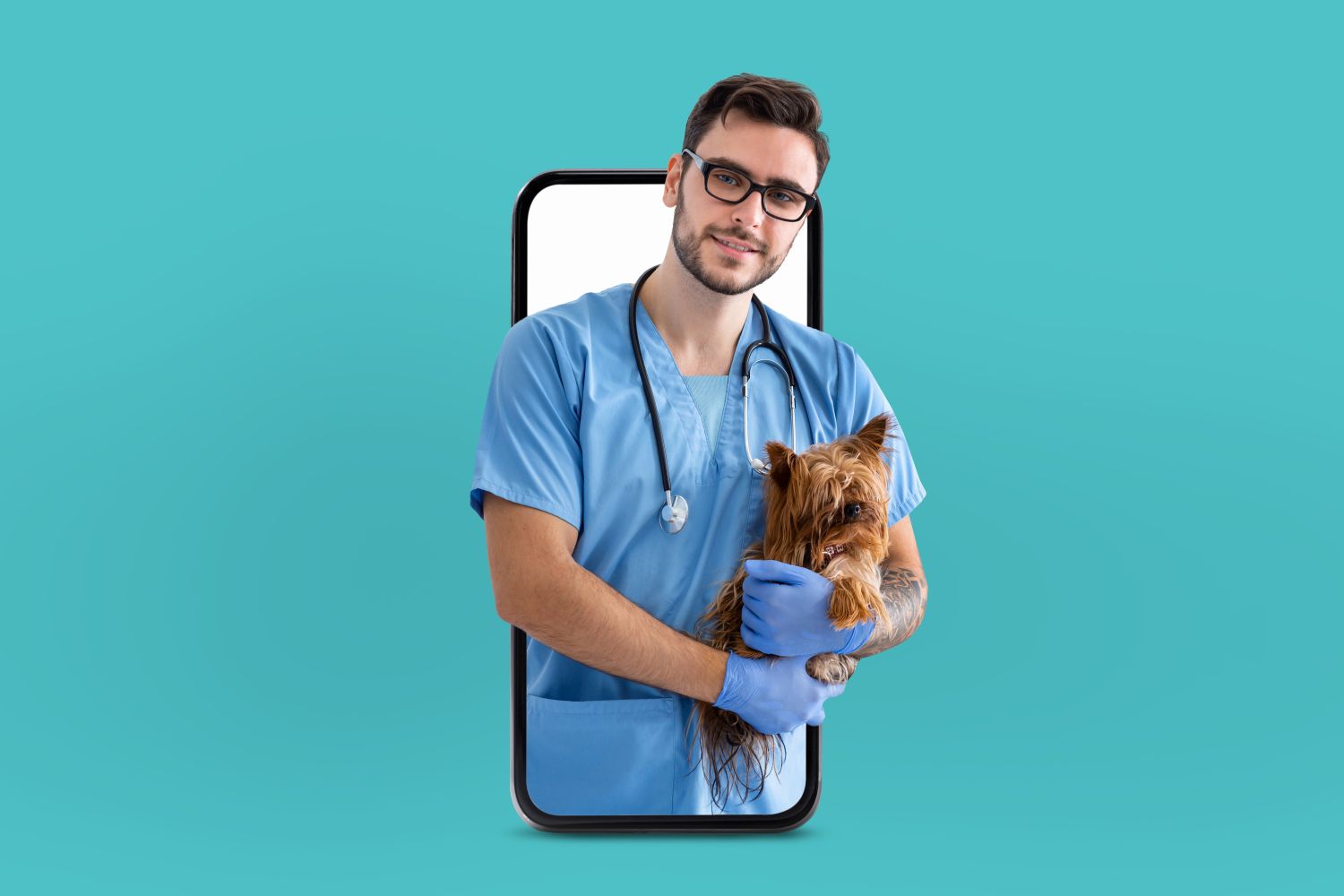 Sprechstunde beim Online Tierarzt: Lohnt es sich?