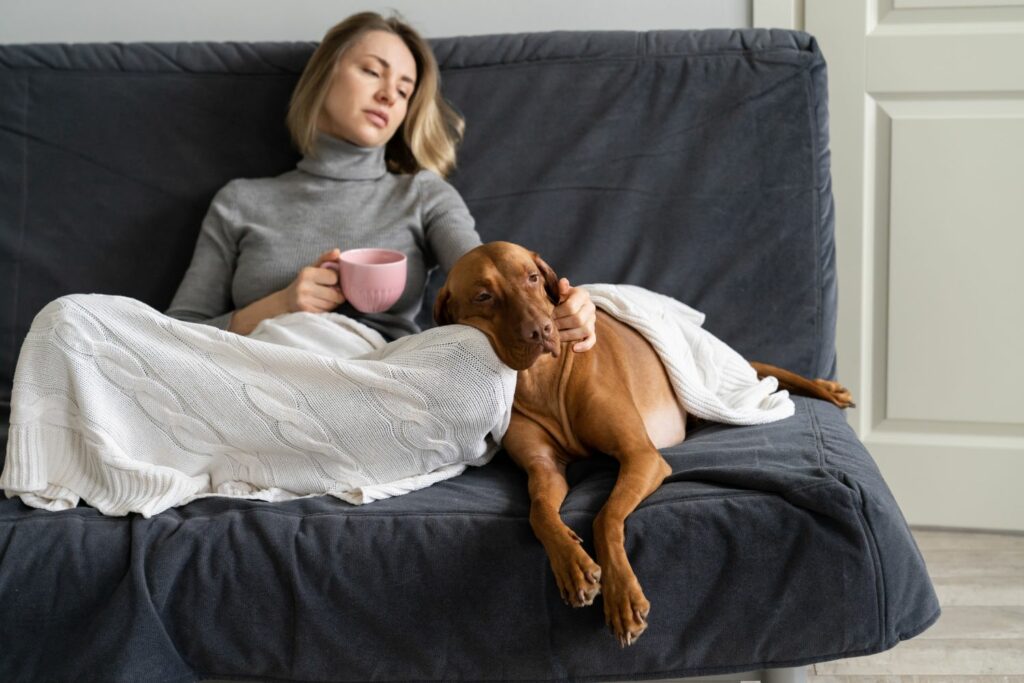 Stress bei Hunden Rückzug