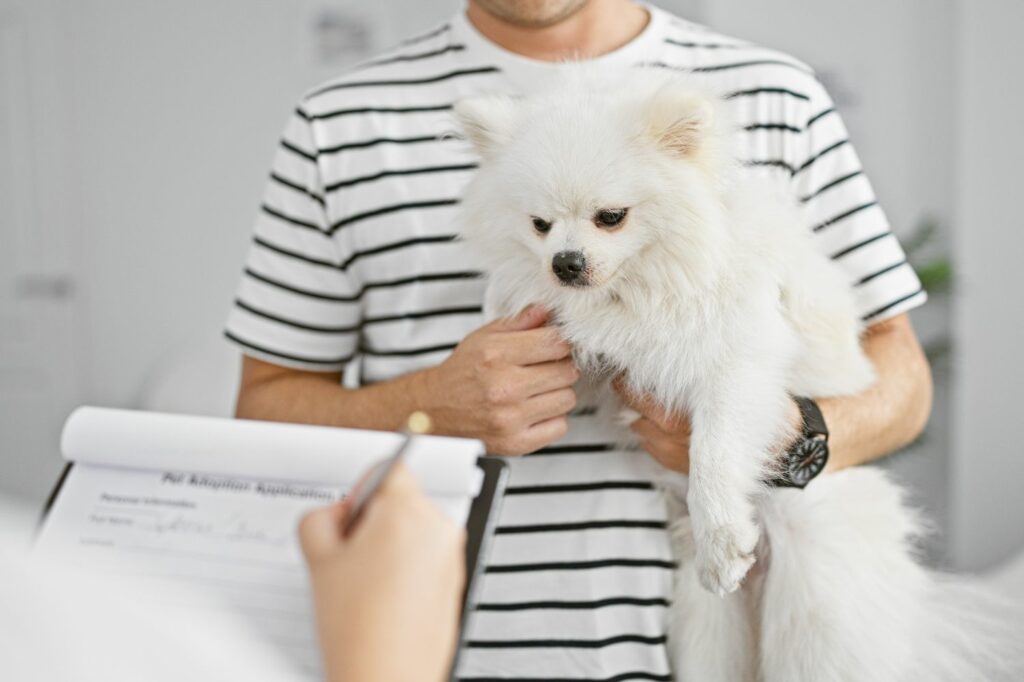 Stress bei Hunden Tierarzt