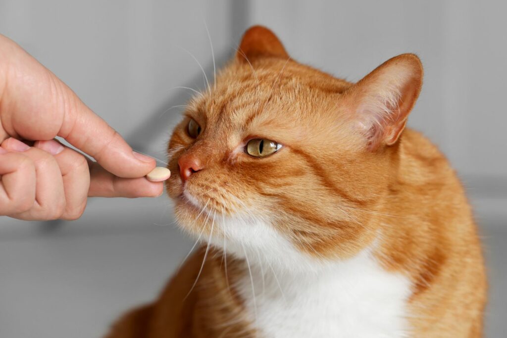 alternative Tiermedizin: Ergänzungsmittel
