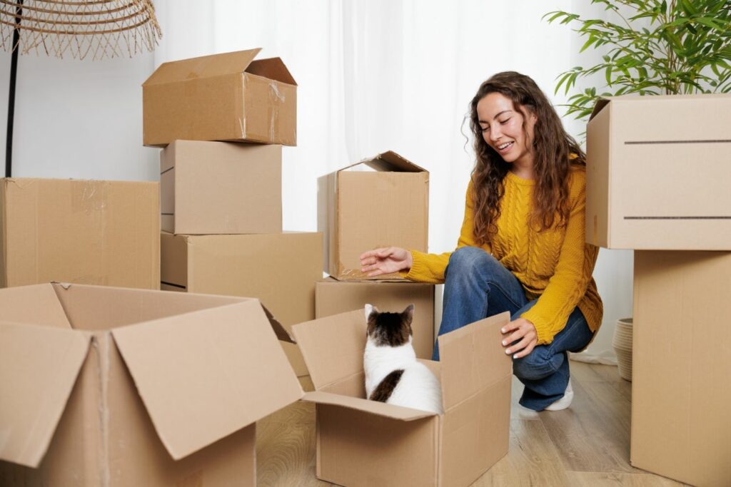Umzug mit Haustier: Katze in Kartons