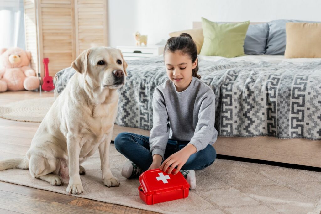 Erste Hilfe für Hunde: erste Hilfe Box