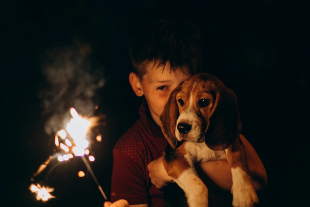 Haustiere an Silvester: Hund an Silvester