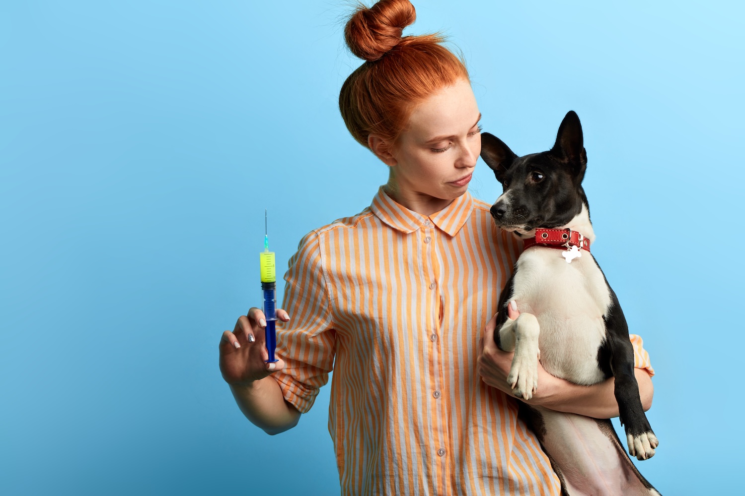 Mikrochip-Pflicht für Haustiere: Was Tierbesitzer zur neuen EU-Verordnung wissen müssen