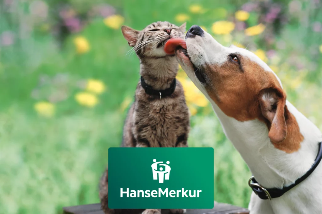 HanseMerkur Hundekrankenversicherung
