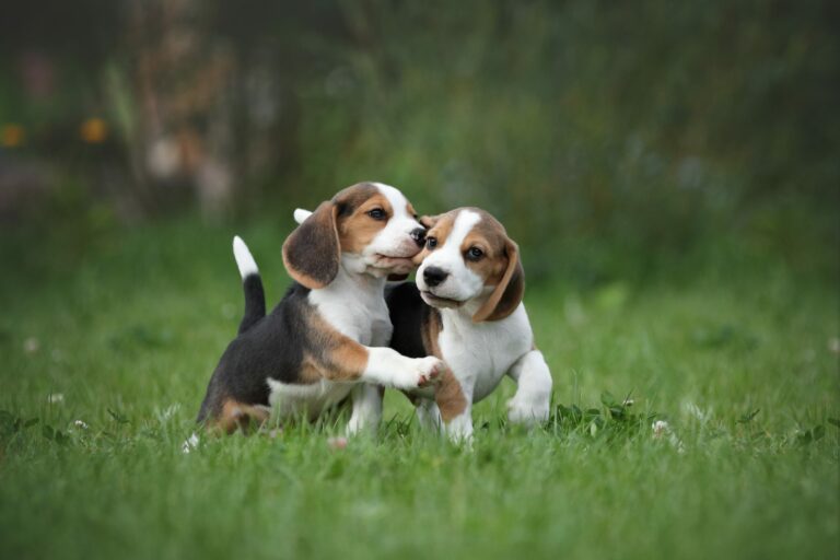 shutterstock_2067001010-scaled