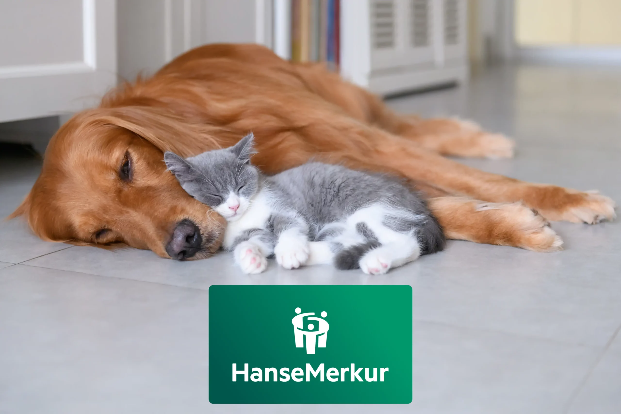 HanseMerkur Tierversicherung kündigen: Frist, Formular und der richtige Zeitpunkt
